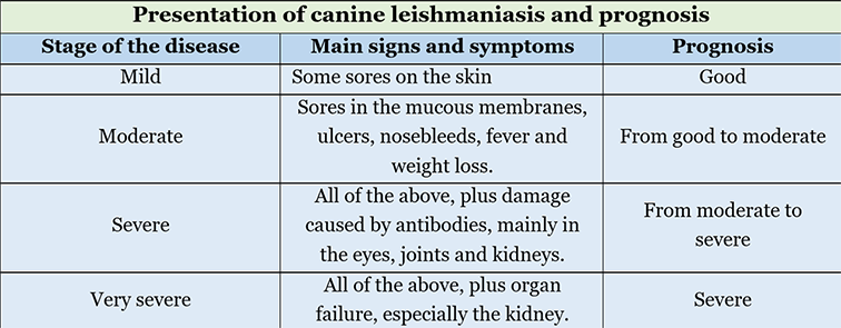 leismaniasis and prognosis