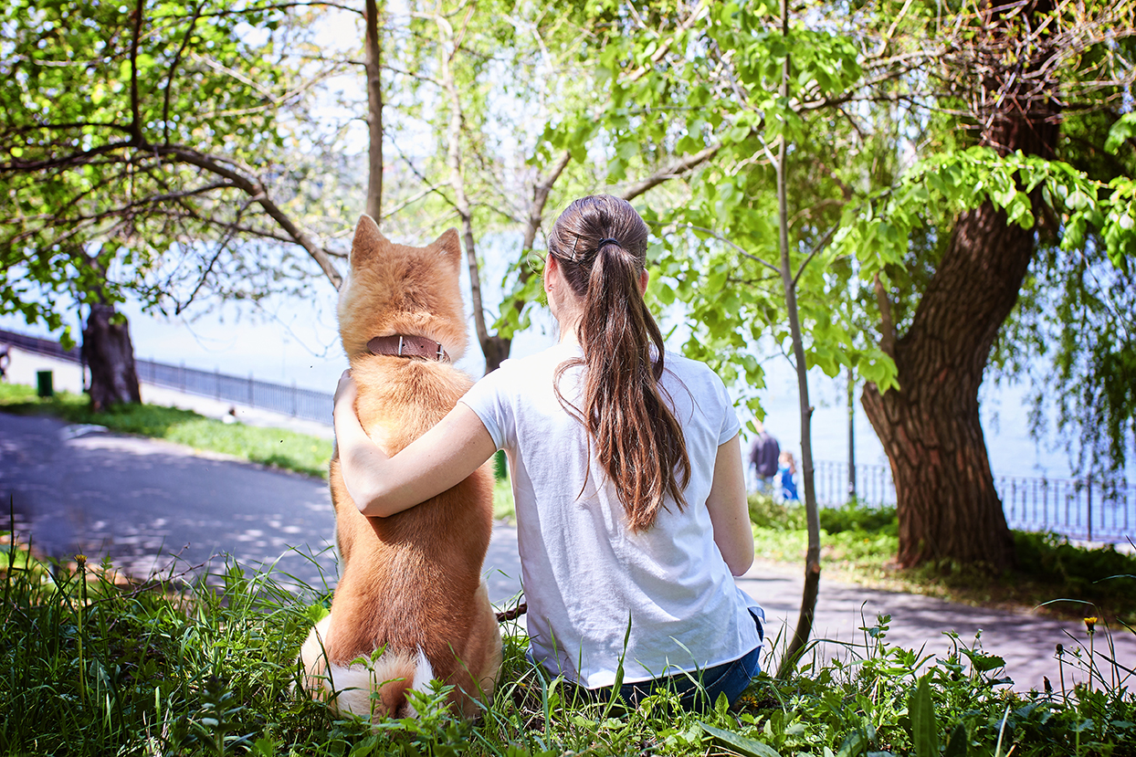 niña y perro