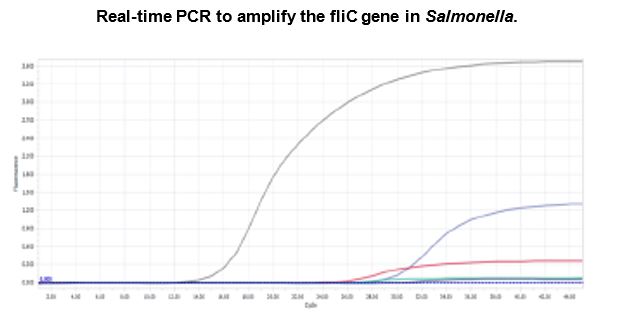 Real time pcr