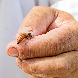 En mis manos mi profesion