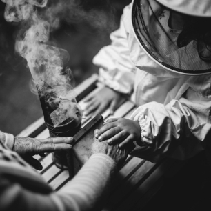 Manos que heredan vida