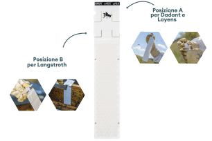 Calistrip Biox