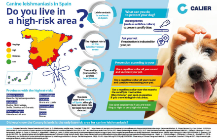 Canine leishmaniasis in Spain