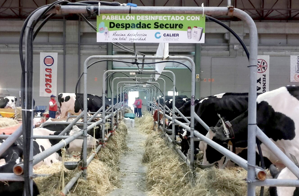 Imagen de Calier patrocina la feria Abanca Gimag-GandAgro