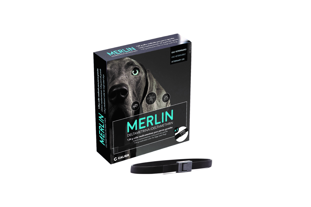 Imagen de Calier presenta el nuevo collar antiparasitario para perros Merlin