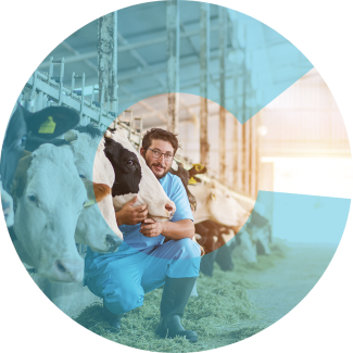 Persona con vacas, con el Logo de Calier