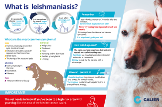 The most common symptoms of Leishmaniasis | Calier