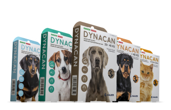 Imagen de Calier lanza Dynacan spot-on, un antiparasitario externo en formato pipeta para perros, gatos y hurones