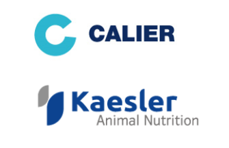 Media | Calier