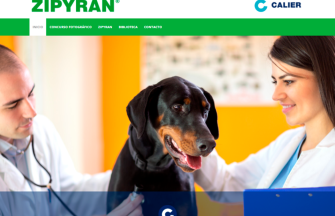 Imagen de web www.zipyran