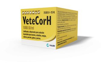 VeteCorH