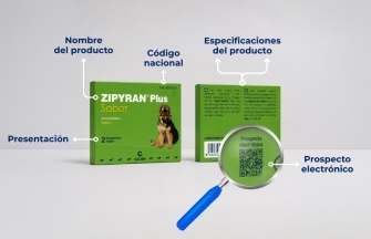 Prospecto electrónico