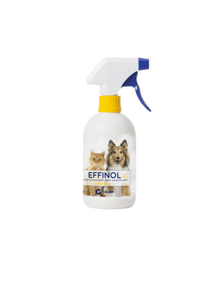 Effinol Spray