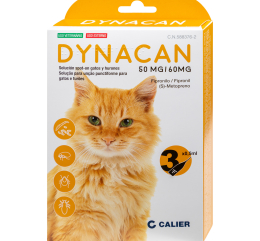 Imagen de Dynacan gatos