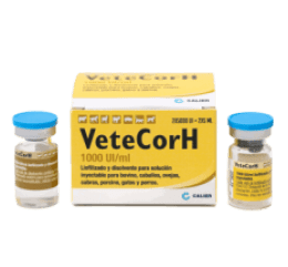 Calier_VeteCorH