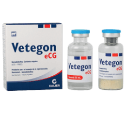 Vetegon