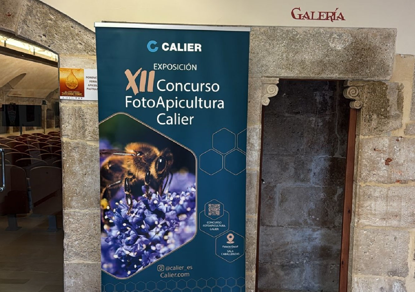 Exposición Concurso Fotoapicultura