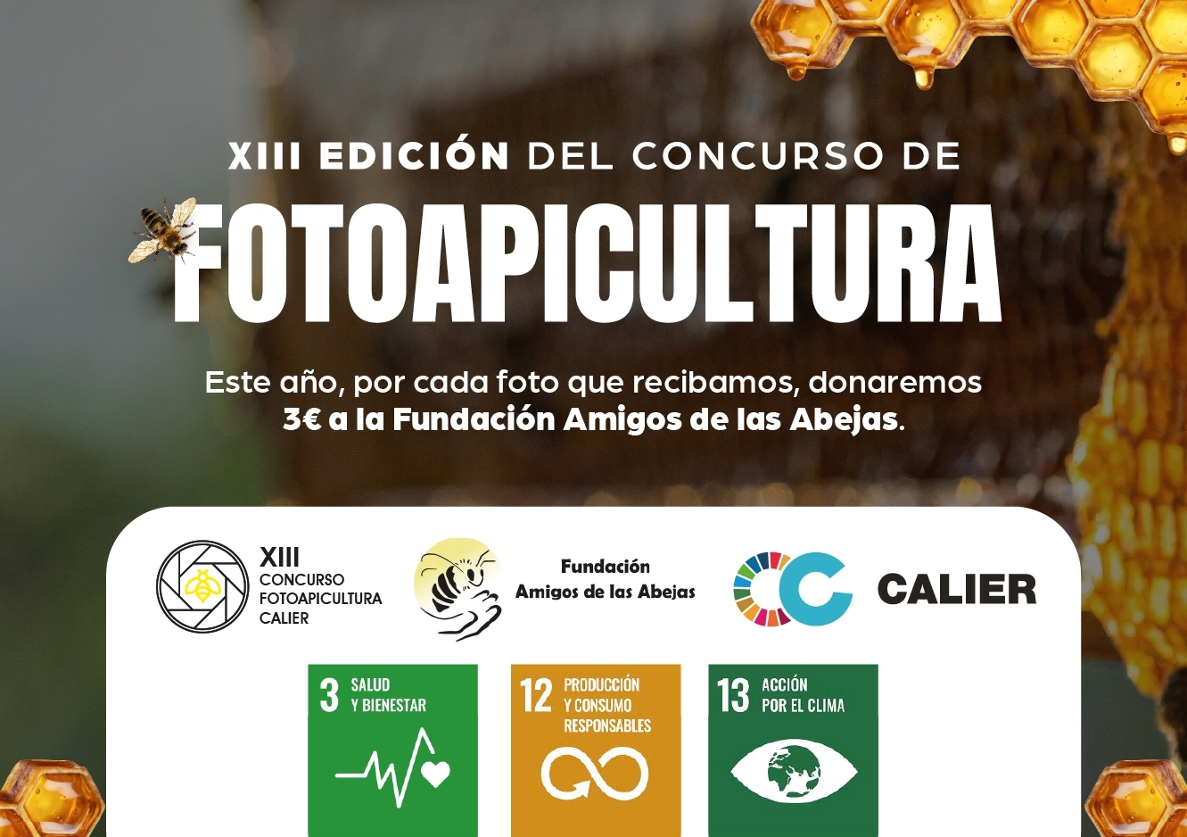 XIII Concurso Fotoapicultura