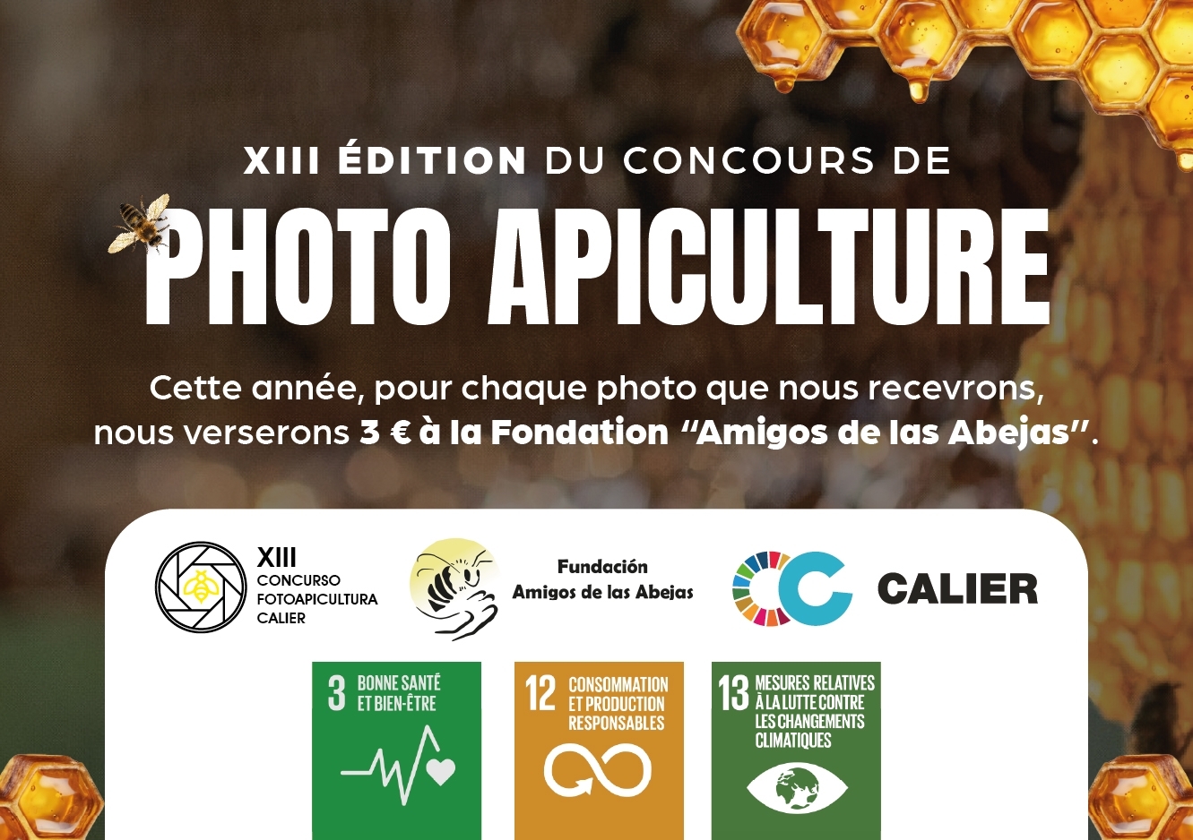 Concours de Photo Apiculture Calier