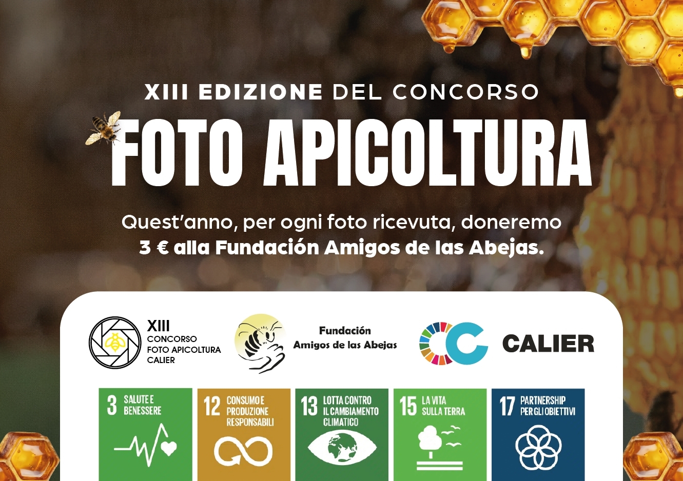 Concorso FotoApicoltura