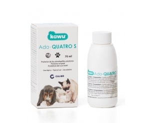 Ado Quatro