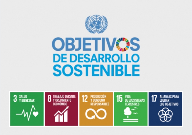 Objetivos RSE
