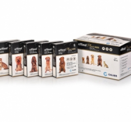 Imagen de Effinol Plus