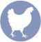 icono-gallinas