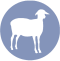 icono-ovinos