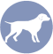 icono-perros