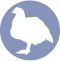 icono-pollos