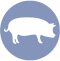 icono-porcino
