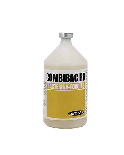 Imagen de Combibac r8