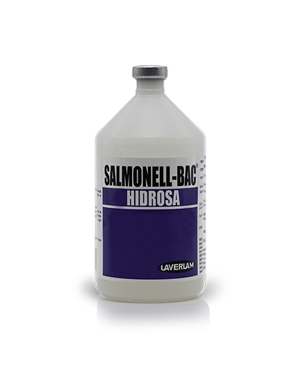 Imagen salmonellbac hidrosa